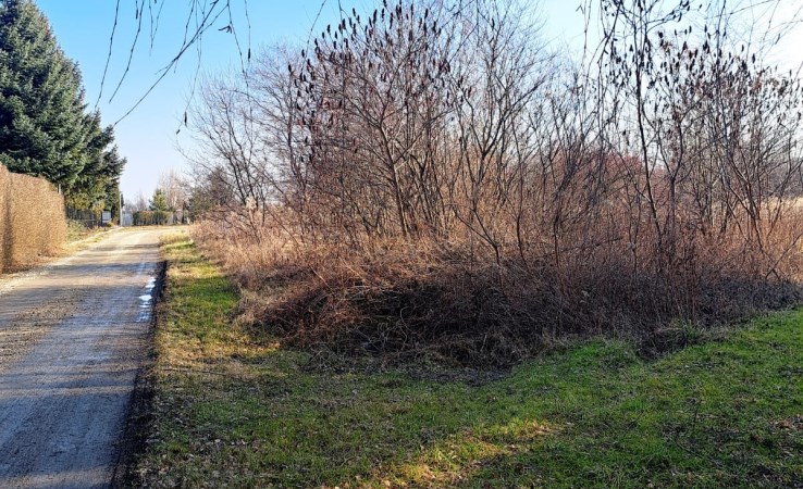 działka na sprzedaż - Wisznia Mała, Szewce