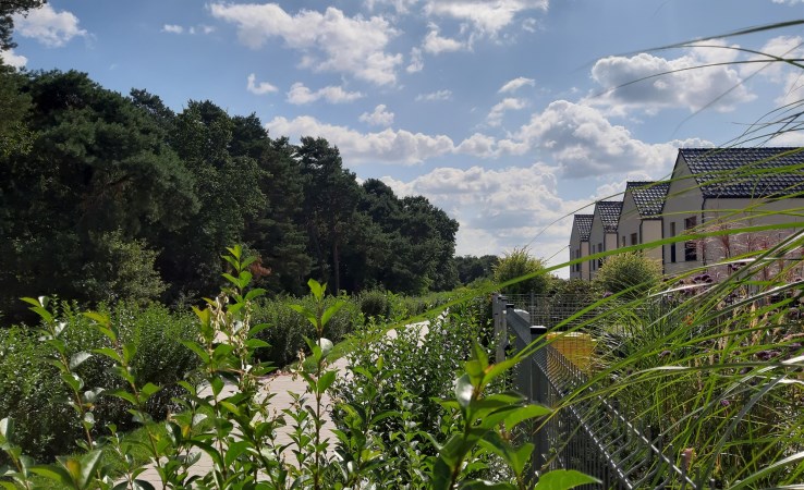 działka na sprzedaż - Wisznia Mała, Szewce