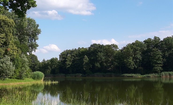 działka na sprzedaż - Długołęka, Szczodre
