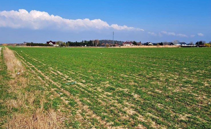 działka na sprzedaż - Długołęka, Śliwice